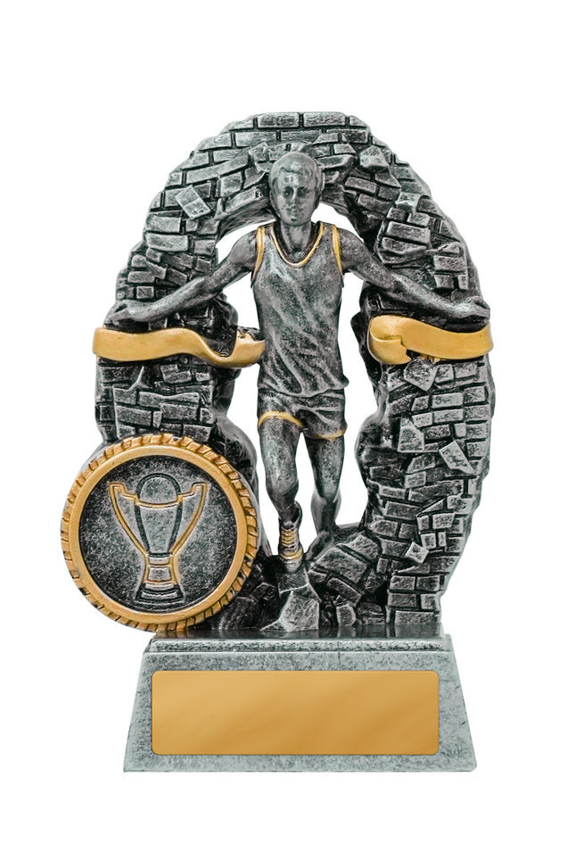 Breaking Down Barriers-Athletics Male 110mm