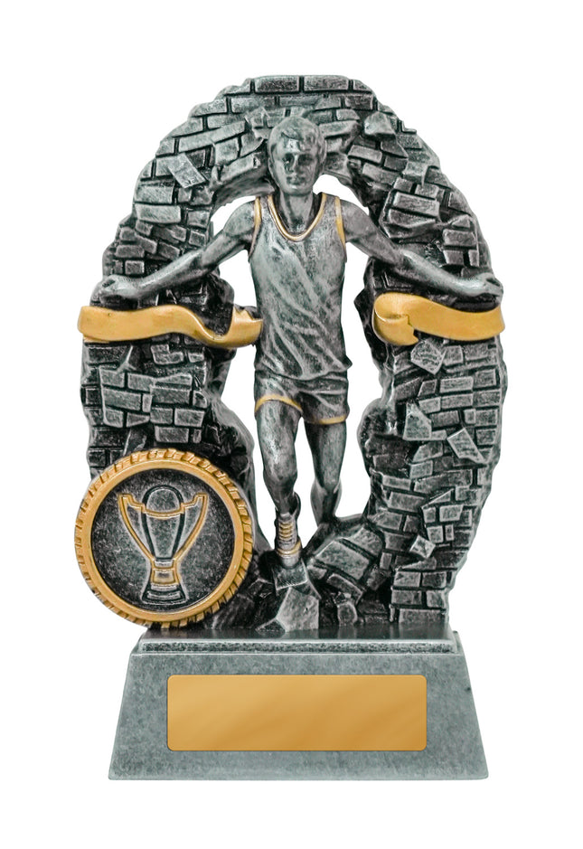 Breaking Down Barriers-Athletics Male 110mm