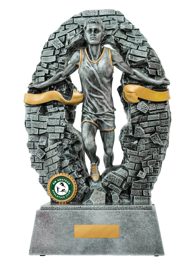 Breaking Down Barriers-Athletics Male 110mm
