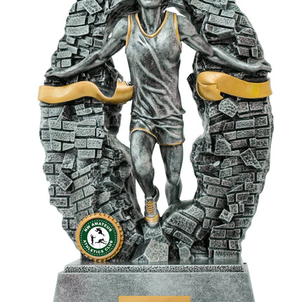 Breaking Down Barriers-Athletics Male 110mm