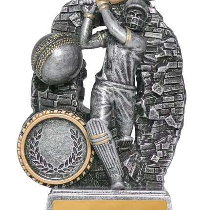 Breaking Down Barriers-Batter Male 110mm