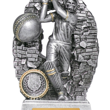 Breaking Down Barriers-Batter Male 110mm