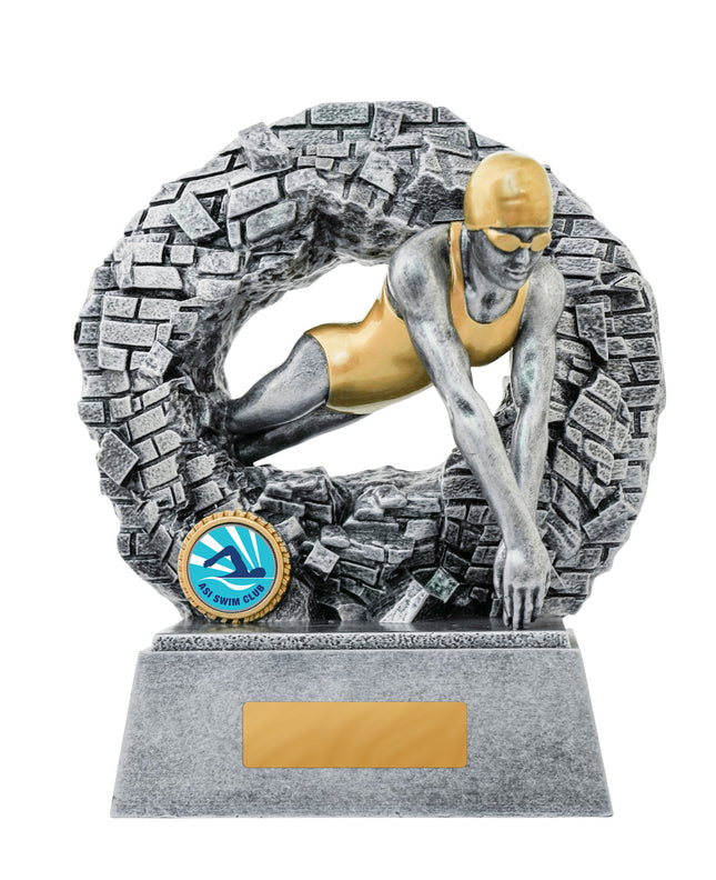 Breaking Down Barriers-Swimming Female 110mm