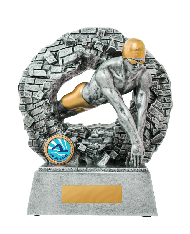 Breaking Down Barriers-Swimming Male 110mm