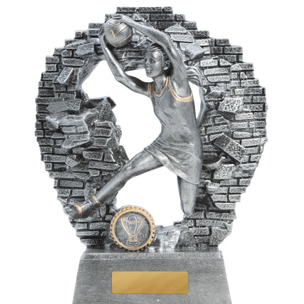 Breaking Down Barriers-Netball  130mm