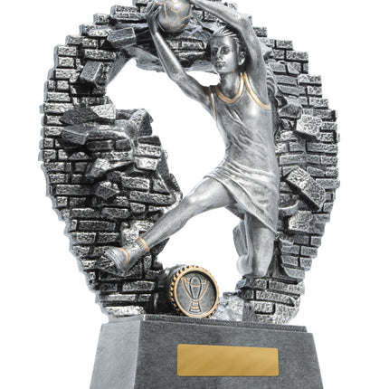 Breaking Down Barriers-Netball  130mm