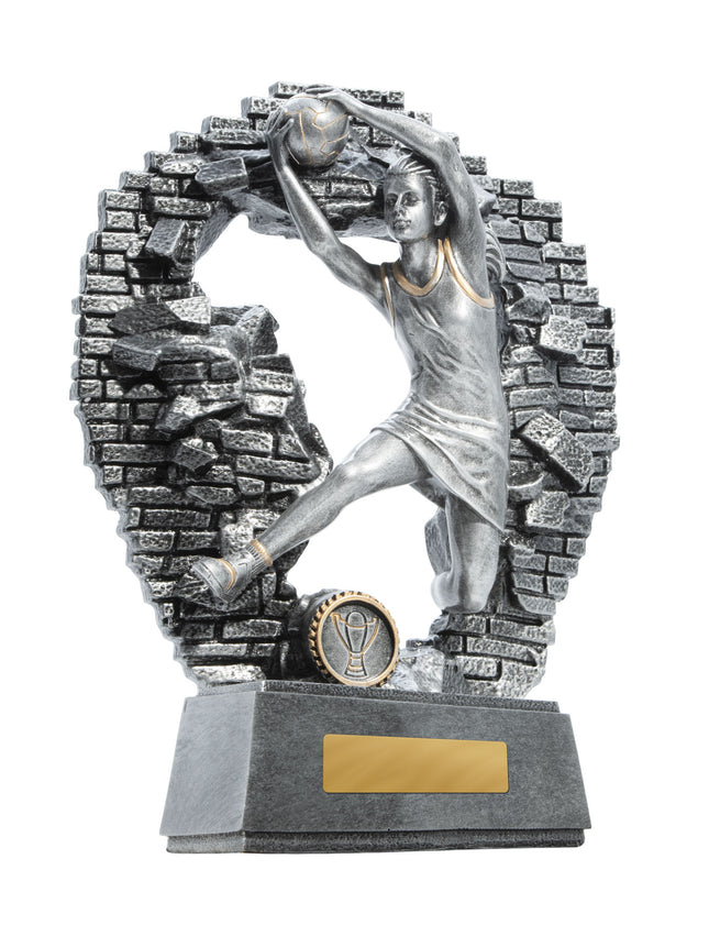 Breaking Down Barriers-Netball  130mm