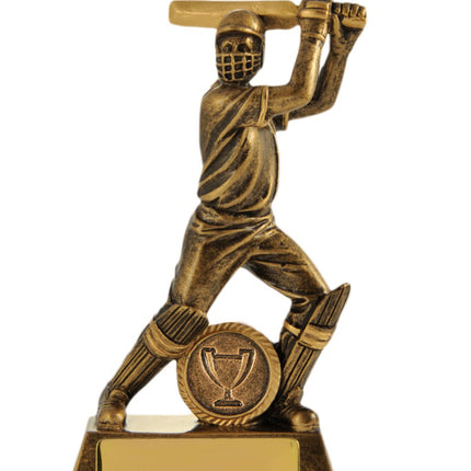 All Action Hero-Batsman 160mm