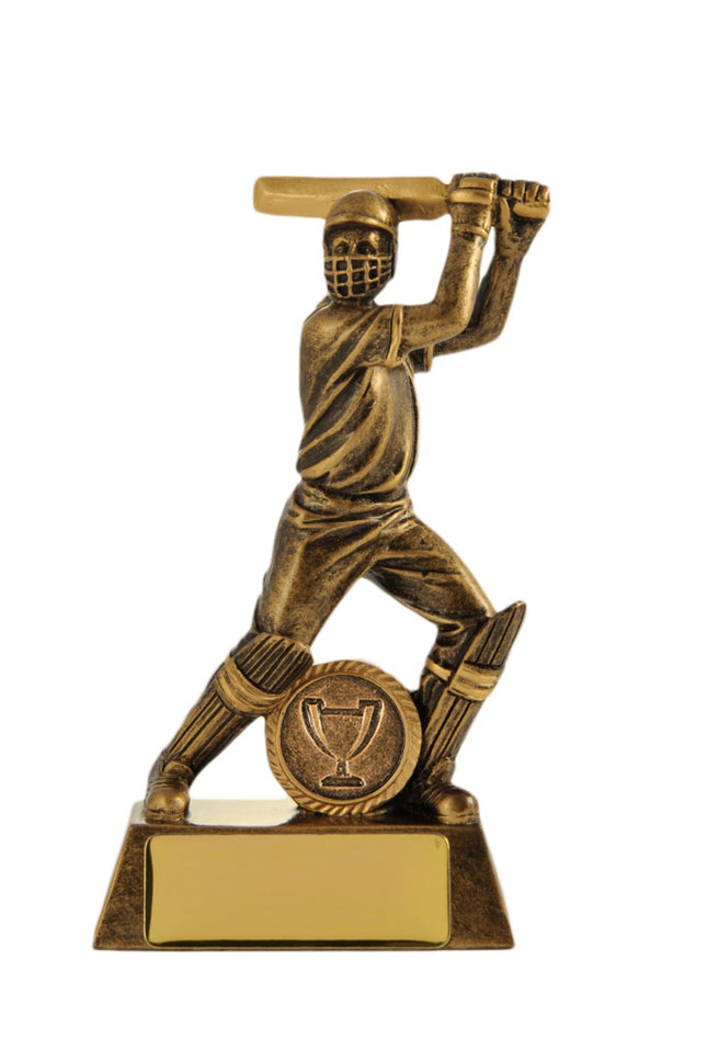 All Action Hero-Batsman 160mm