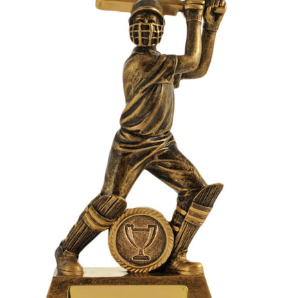 All Action Hero-Batsman 160mm
