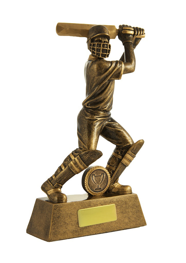 All Action Hero-Batsman 160mm