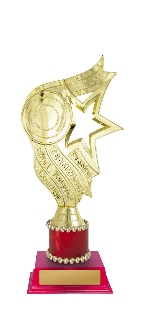 Star Holder  215mm
